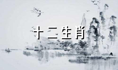 文艺青年也不能吸引异性的生肖男生吗