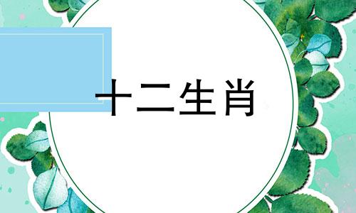 距离产生变态的生肖女友