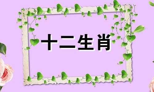 家庭和事业该如何平衡 家庭和事业的平衡点