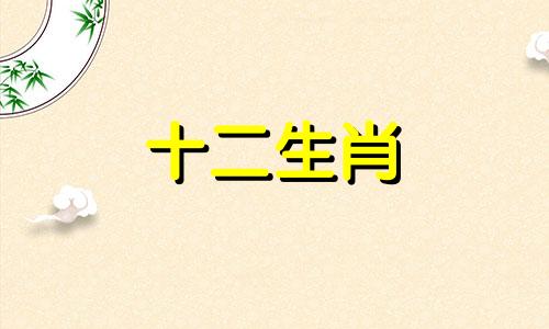 这些生肖男是长者型老干部