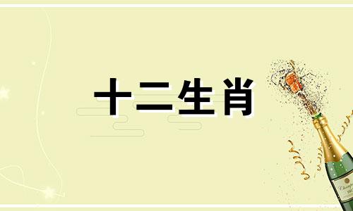 与众不同，机智幽默！三大生肖妙语连珠，油腔滑调不招嫌