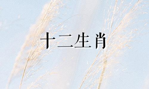 2024年运气最旺的三大生肖