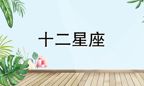 白羊座的火象星座是什么?