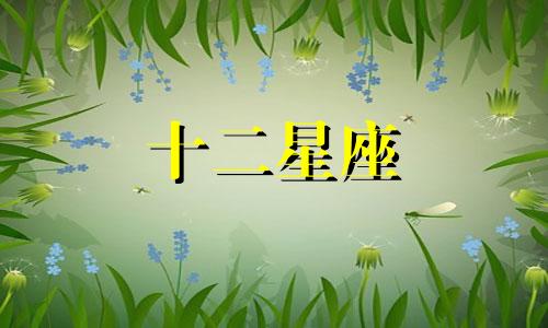 白羊座2023年运势详解完整版