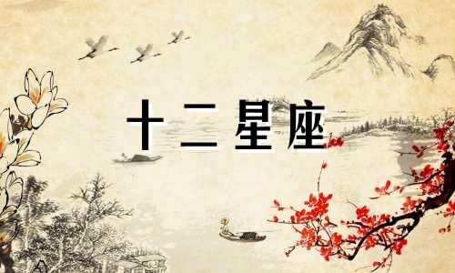 金牛男金牛女在一起会怎样