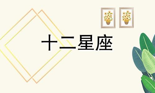 狮子座和摩羯座为什么相处不来呢