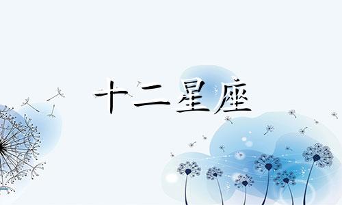 狮子座男生找对象会将就吗