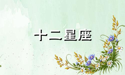 属狗白羊座和属龙双子座适合在一起吗女生