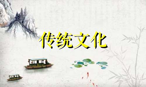 办公植物摆放的风水讲究有哪些