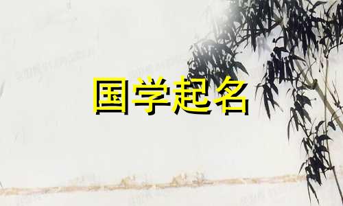 刚出生的婴儿名字女孩小名
