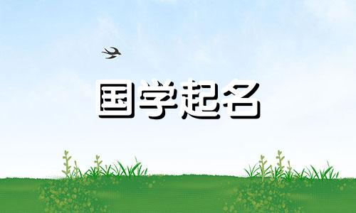 女孩带木字旁时尚名字大全