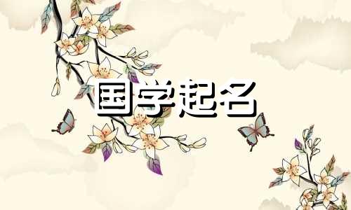 女孩起名好听姓董的名字 女孩姓董有气质名字