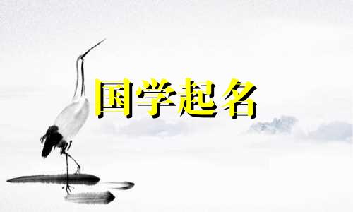 女孩取名字大全2024最新版