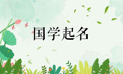 好听的男孩名字大全2019年属猪