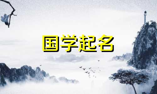王字寓意好的女孩名字大全四个字