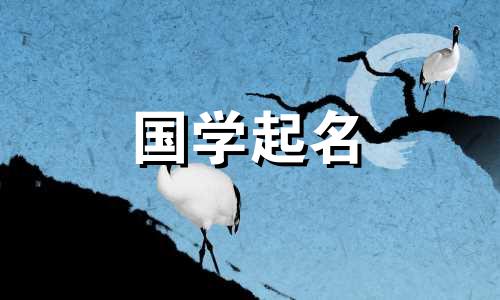 孩子起名字大全免费男2023