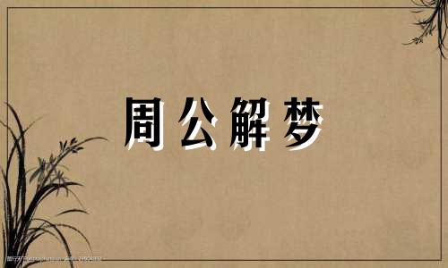 梦见北极星不同情况的含义解梦