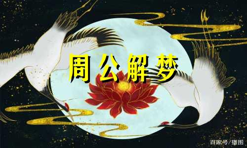 梦见雨停了路上全是水 梦见雨停了出太阳了