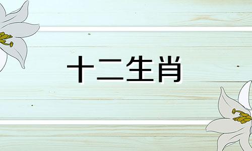 2024年生肖狗运势完整版 2024年属狗的命运