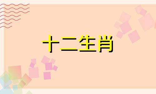 2024年属猪的财运和运气如何