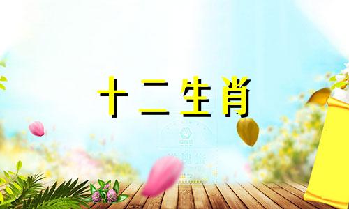 2024年属马佩戴什么好运 属马2022年佩戴什么