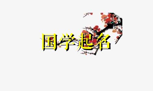 2024年1月19日农历腊月初九出生的男孩最吉利的名字是