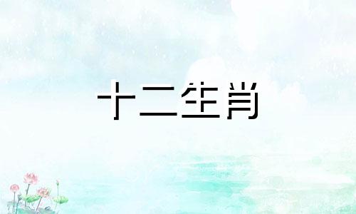 2024属龙人不能穿的颜色衣服