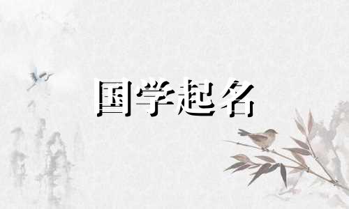 非常旺财的公司名字三个字大全