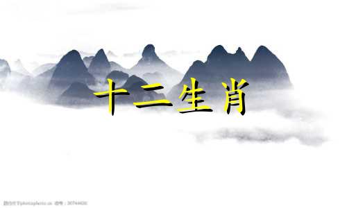 生肖牛女跟生肖狗男配吗好吗
