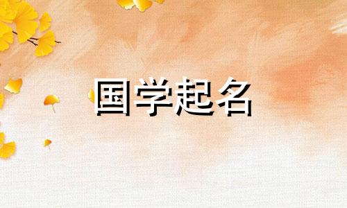 2024年除夕出生的孩子起名叫什么