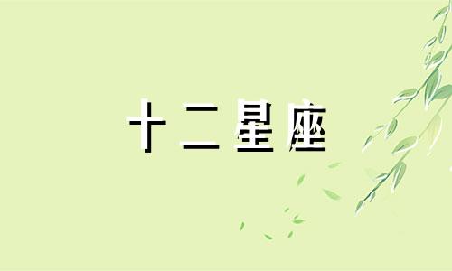 2024年2月19日十二星座运势查询详解