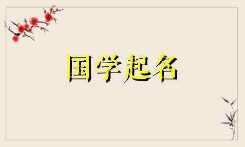 2024年属龙的五行缺什么 2024年龙五行属什么命