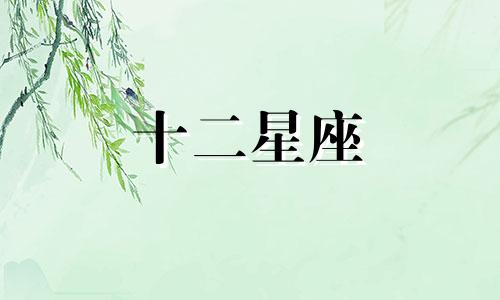 2024年2月24日十二星座运势查询详解