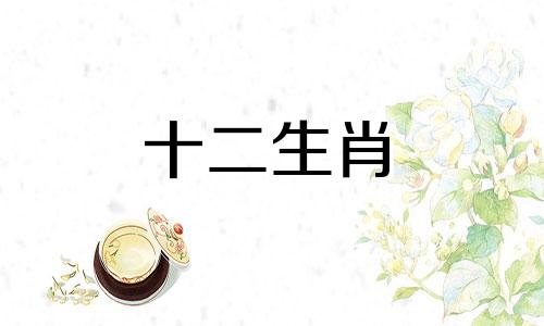 属猪人和属猪人的配对分析   生肖猪和生肖猪结婚好吗