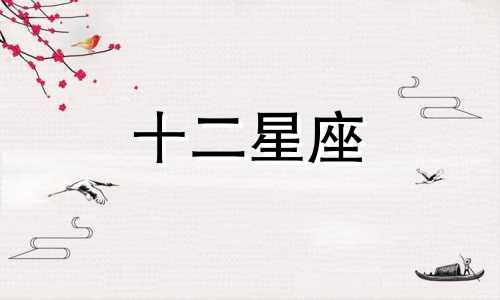 属鼠处女座男生的性格分析