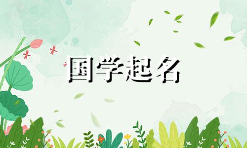 吉利旺财的室内装饰店名字大全及寓意
