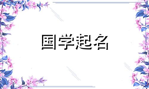 吉利大气的龙宝起名2024年