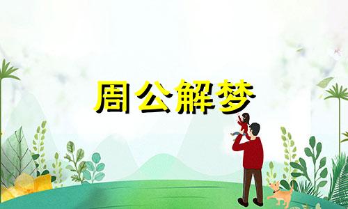 梦见蛇在车里是什么预兆 梦见小蛇在车里