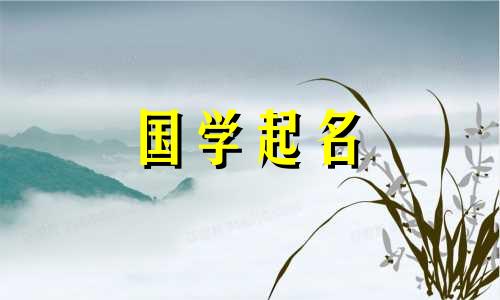 2024年5月16日农历四月初九出生最旺男龙宝宝名字