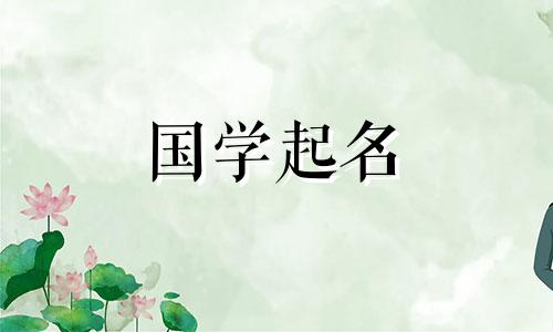 24年适合年轻人的创意公司名字大全