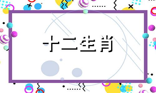 女生肖马和男生肖龙配吗好吗