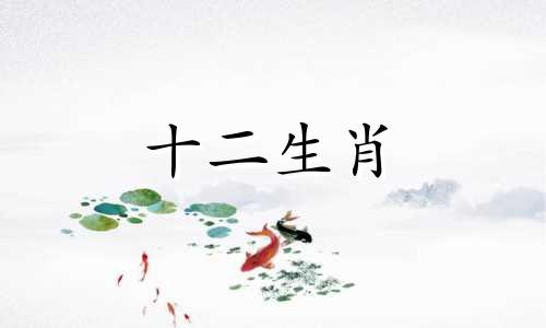 属羊人注定有三情人的原因