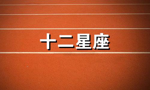 2024年7月十二星座学业运势大比拼 谁是学霸之星