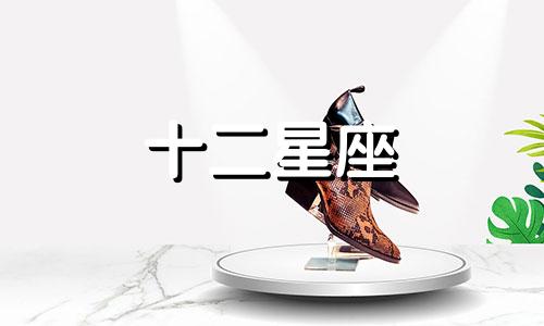 摩羯座与巨蟹座:爱情的相生相克吗