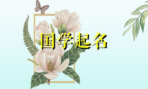 缺金字高雅的女孩名字叫什么好听点