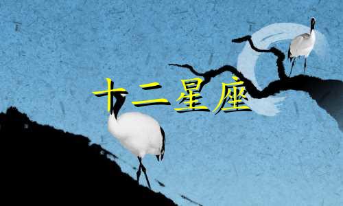 2024年双鱼座8月婚姻运势详解视频