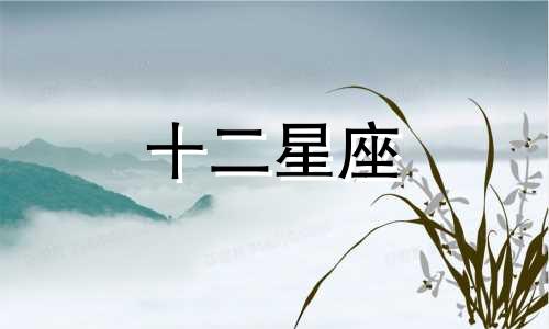 2024年水瓶座全年运势完整版