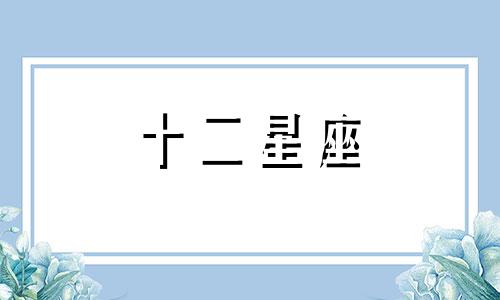 2024年8月摩羯座感情运势如何