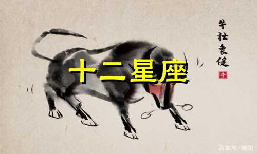 2024年8月狮子座感情运势详解视频