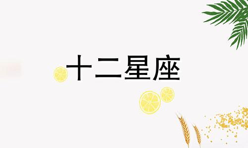 狮子座2024年8月婚姻运势详解视频